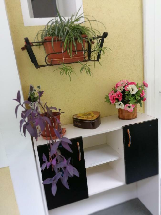 Apartman Manuela Rijeka Exterior foto